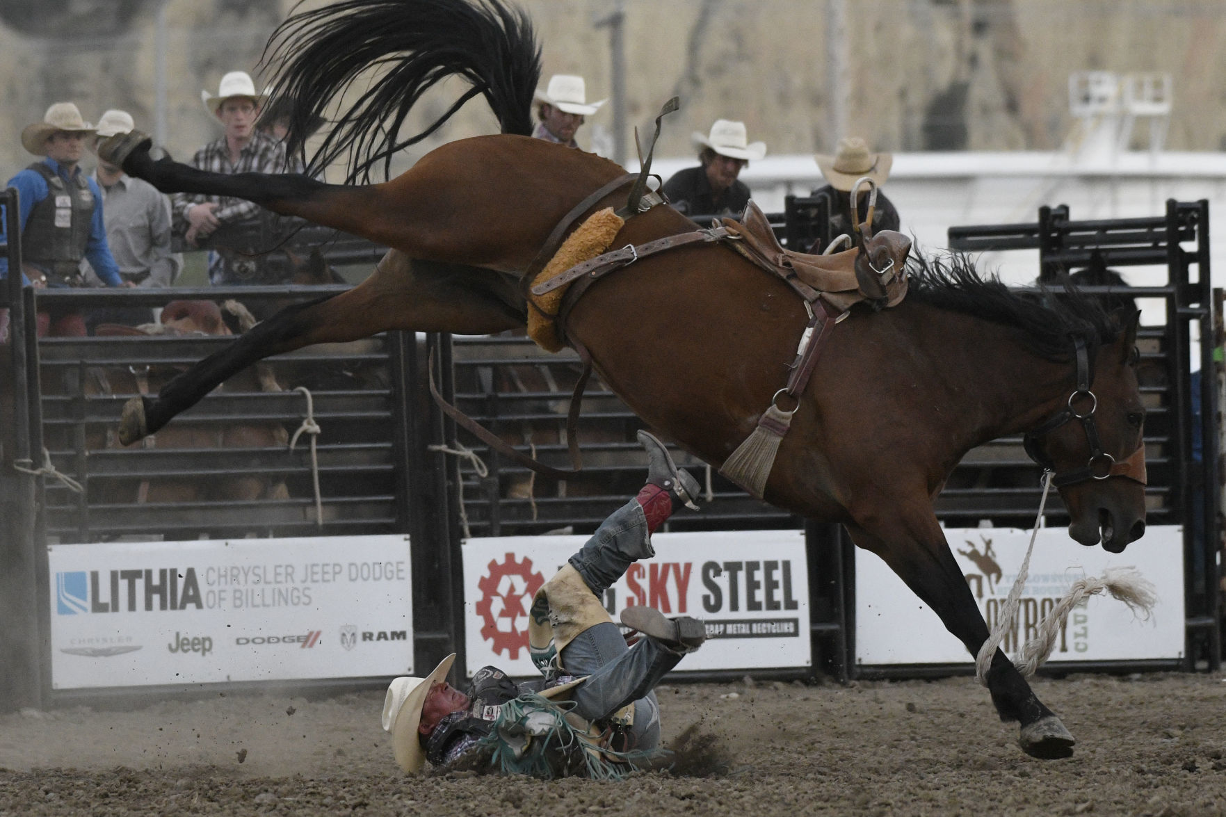 Rodeo